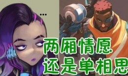 摆子cp最新爆料,最新爆料揭示甜蜜背后的故事