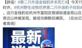 宁波顺丰爆料事件视频最新