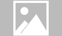 火影名人爆料大全最新版,揭秘忍者世界的秘密与传奇