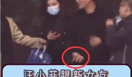 最新爆料汪小菲视频大全,最新爆料揭露不为人知的背后故事